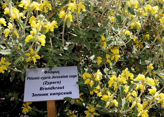 Herb Garden Διαμέρισμα Πόλη